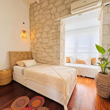 빌라 Alacati Koeyici Agrilia House *